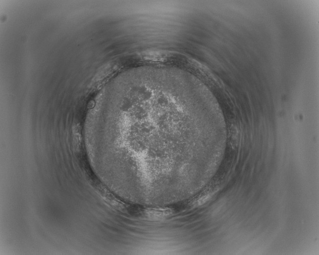 X0000074260707200609151801