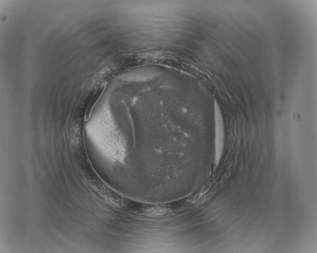 X0000074260708200609151801