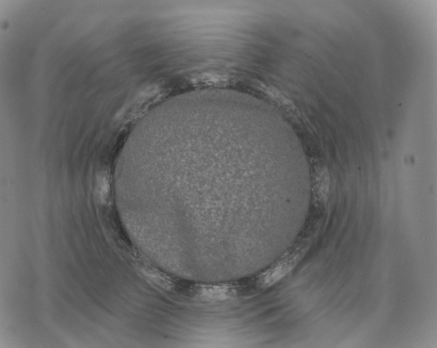 X0000074260709200609151801