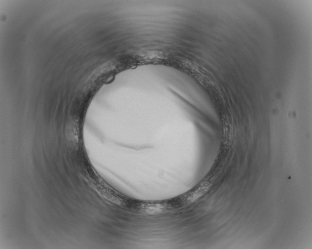 X0000074260710200609151801