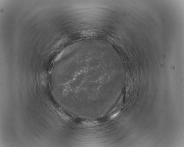 X0000074260712200609151801