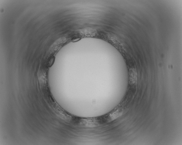 X0000074260713200609151801