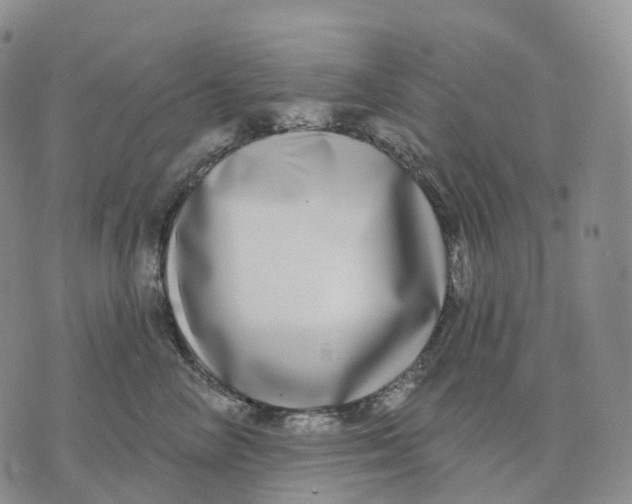 X0000074260714200609151801