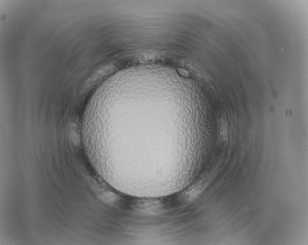 X0000074260719200609151801