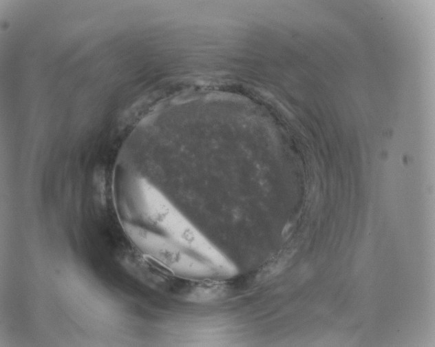 X0000074260720200609151801