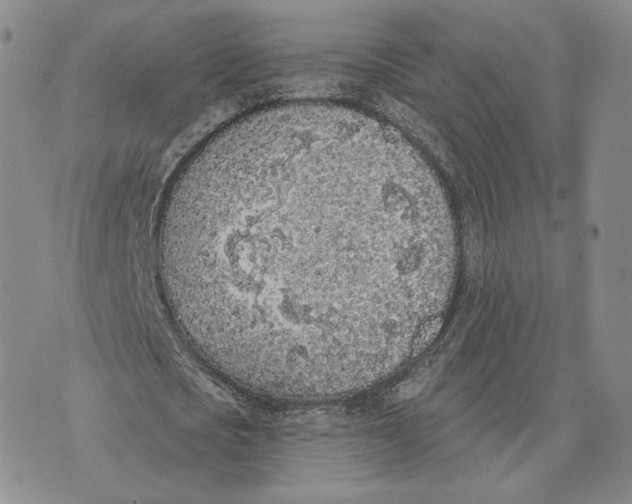 X0000074260721200609151800