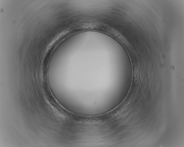 X0000074260722200609151800