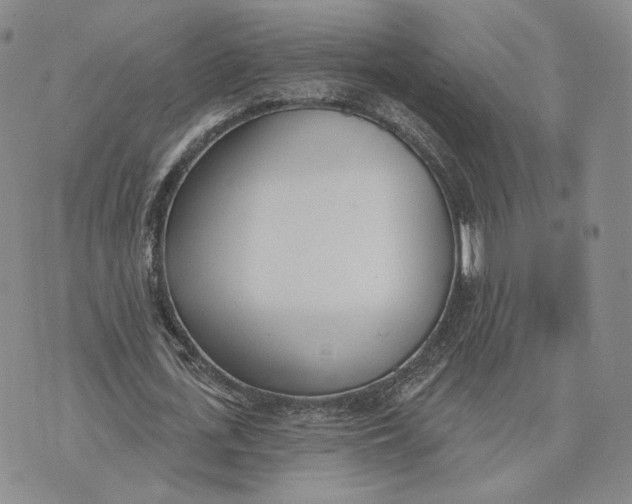 X0000074260723200609151800