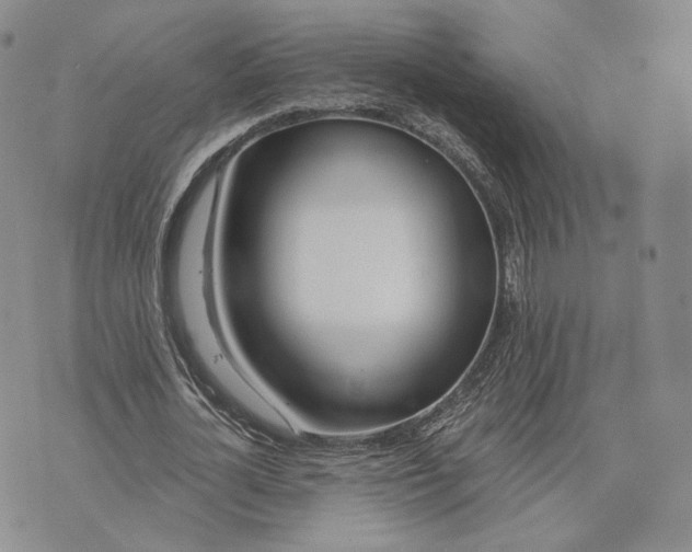 X0000074260724200609151800