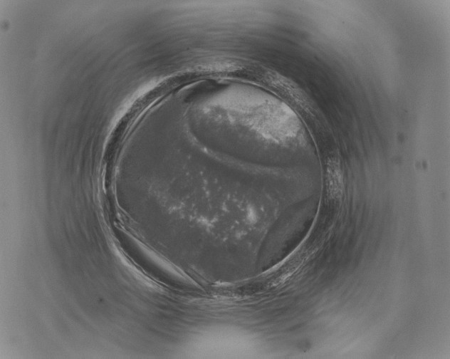 X0000074260726200609151800