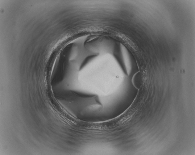 X0000074260727200609151800