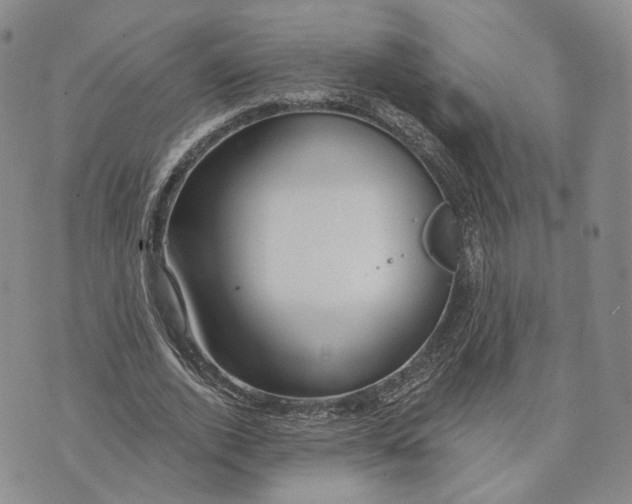 X0000074260728200609151800