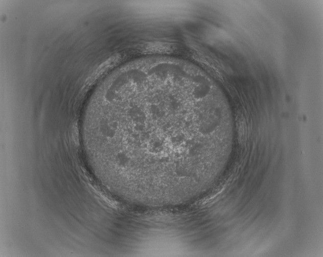 X0000074260729200609151800