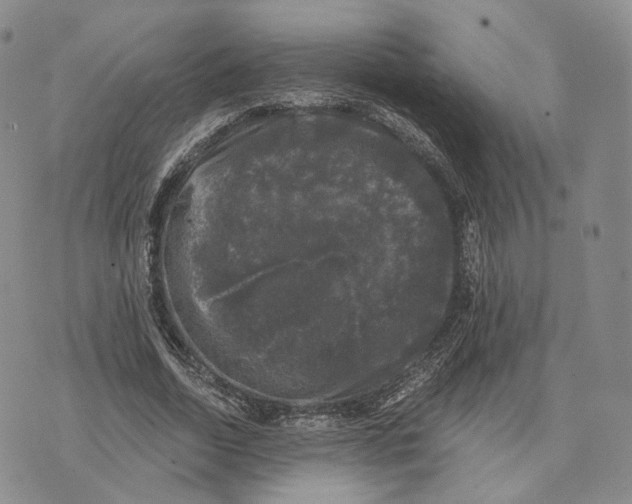 X0000074260730200609151800