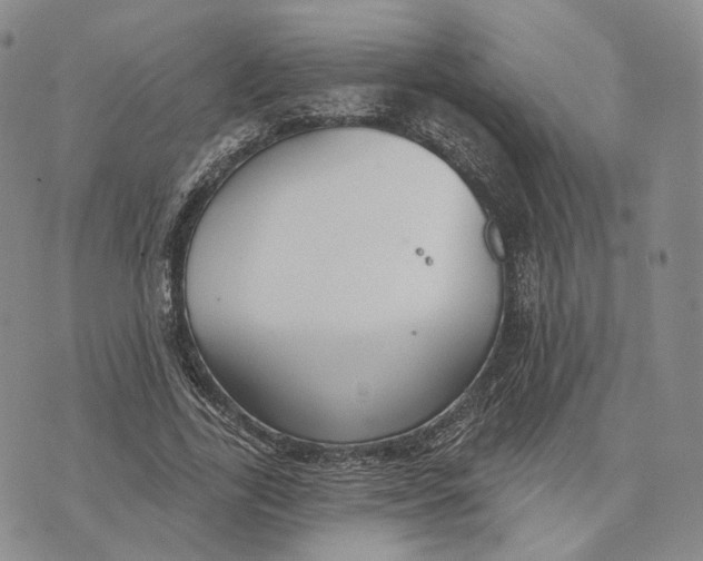 X0000074260731200609151800