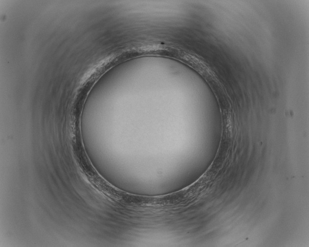 X0000074260732200609151800