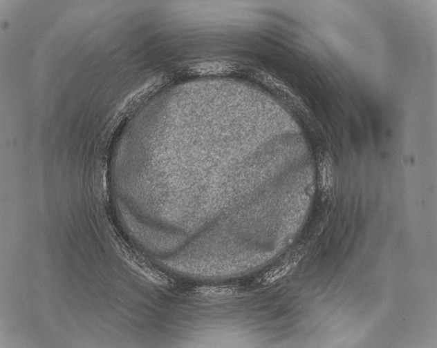 X0000074260733200609151800