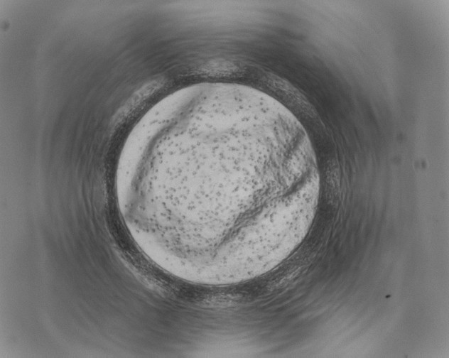 X0000074260734200609151801