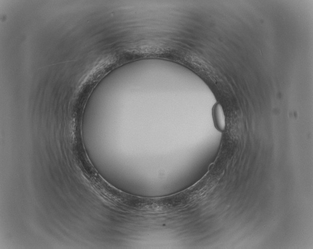 X0000074260735200609151801