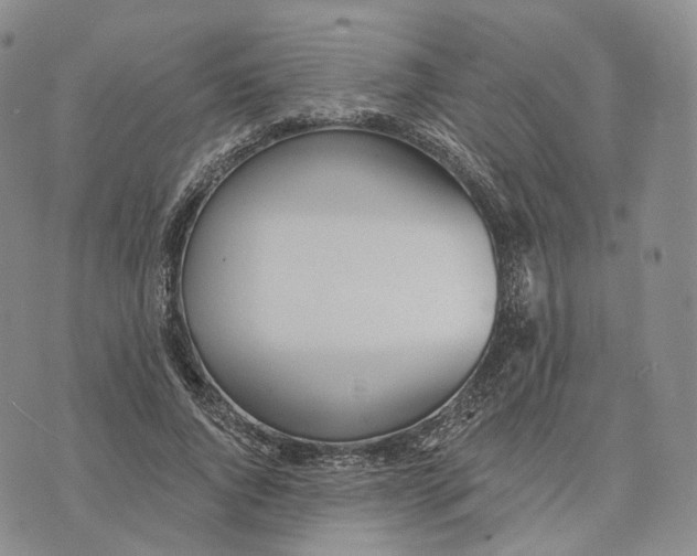 X0000074260736200609151801