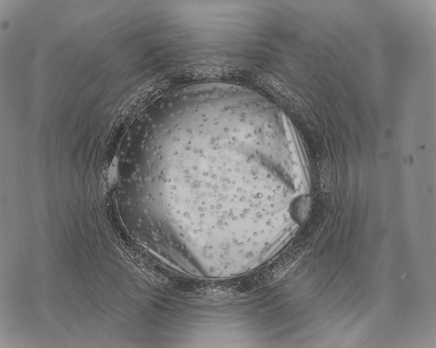 X0000074260737200609151801