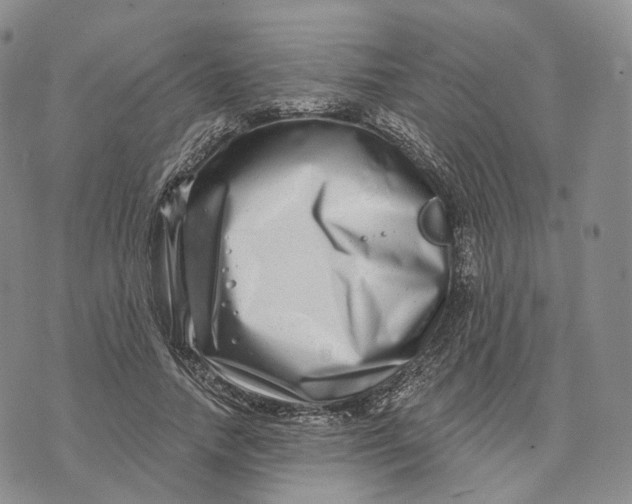 X0000074260738200609151801