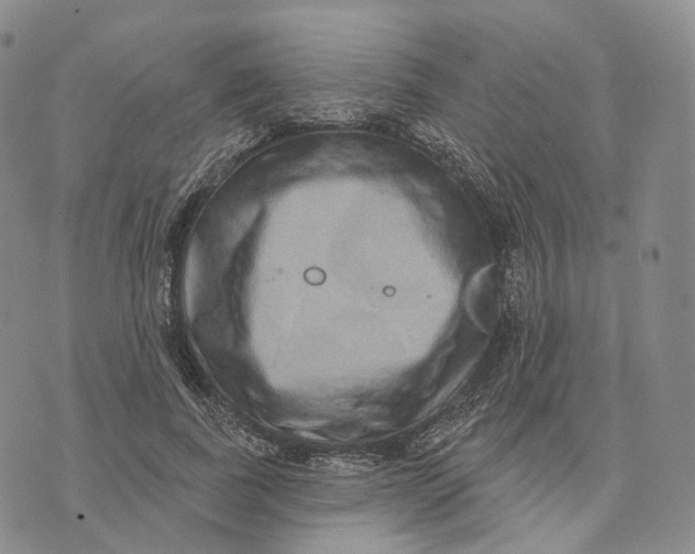 X0000074260739200609151801