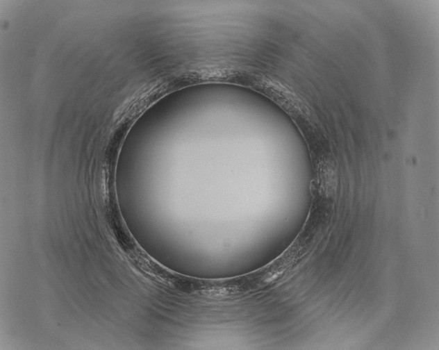 X0000074260740200609151801