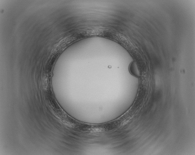 X0000074260741200609151801