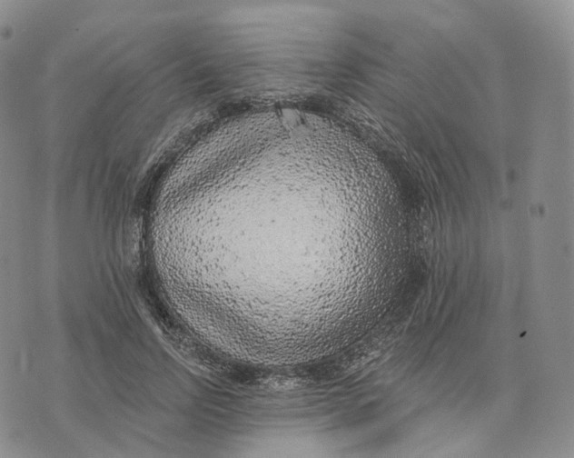 X0000074260742200609151801