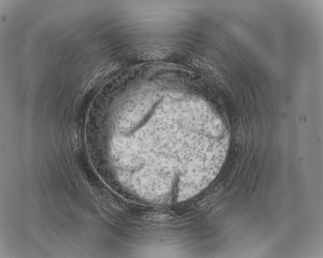 X0000074260743200609151801