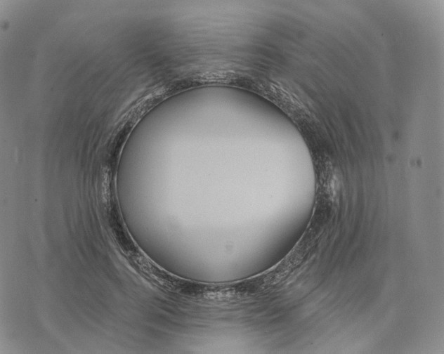 X0000074260744200609151801