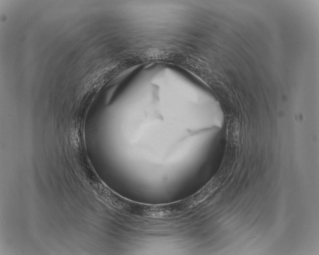 X0000074260746200609151801