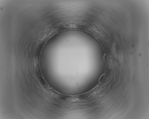 X0000074260747200609151801