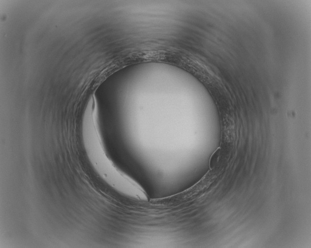 X0000074260748200609151801