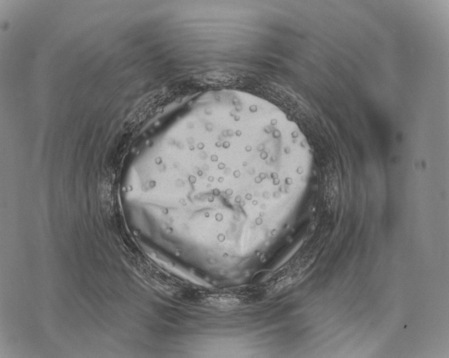 X0000074260749200609151801