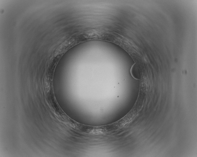 X0000074260751200609151801