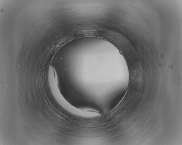 X0000074260752200609151801