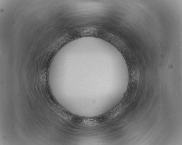 X0000074260753200609151801