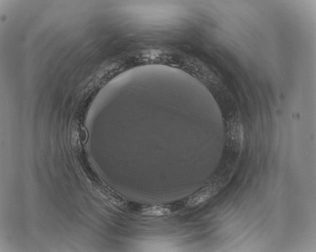 X0000074260754200609151801