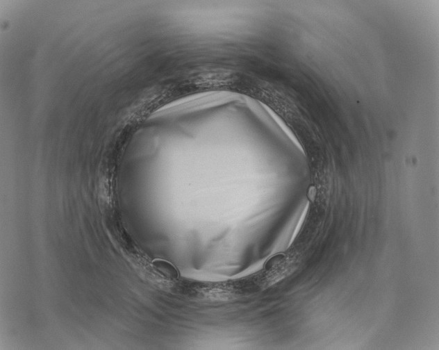 X0000074260755200609151801