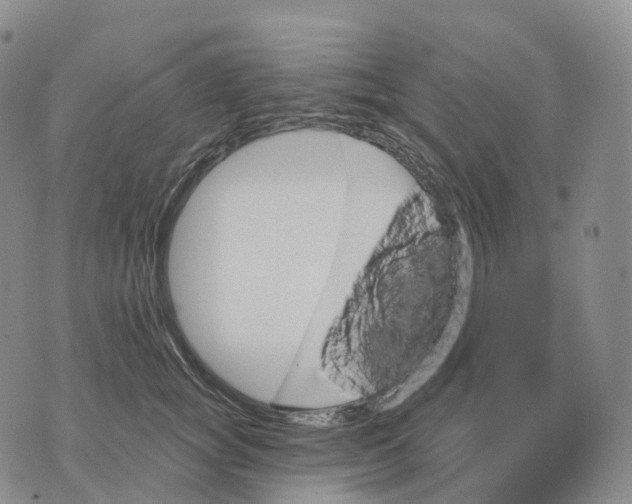 X0000074260757200609151801