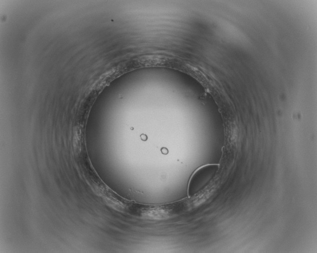 X0000074260759200609151801