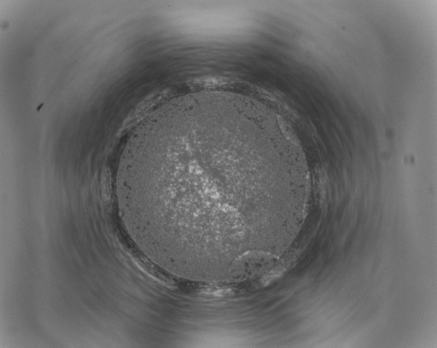 X0000074260760200609151801