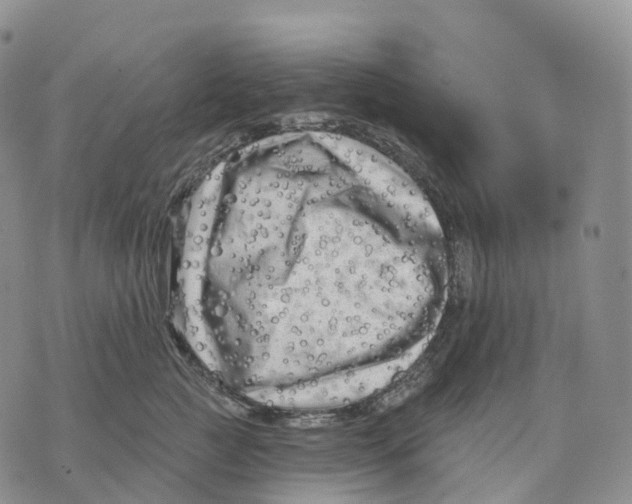 X0000074260761200609151801