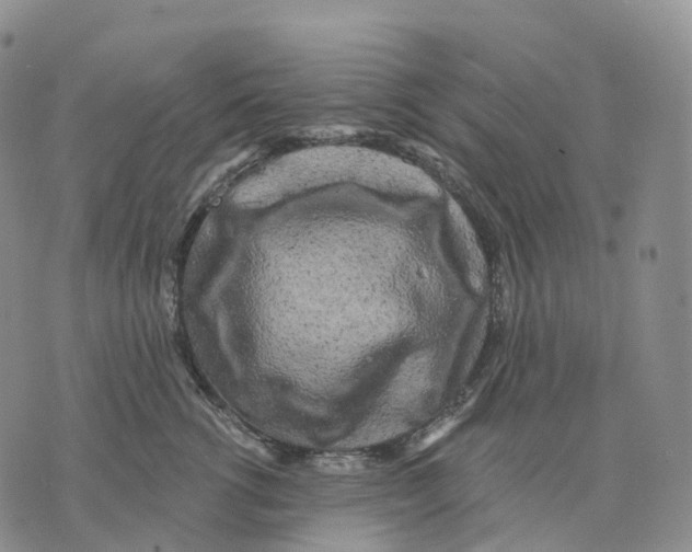 X0000074260762200609151801