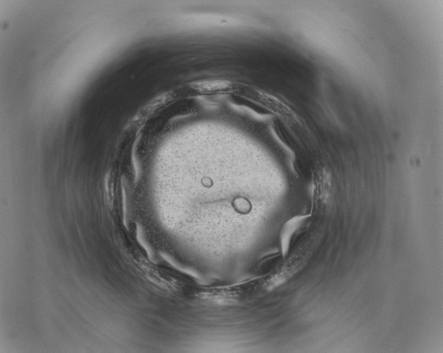 X0000074260763200609151801