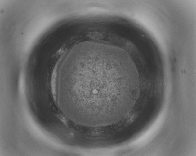 X0000074260765200609151801