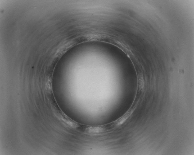 X0000074260766200609151801