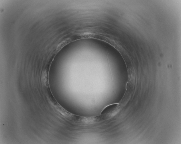 X0000074260767200609151801